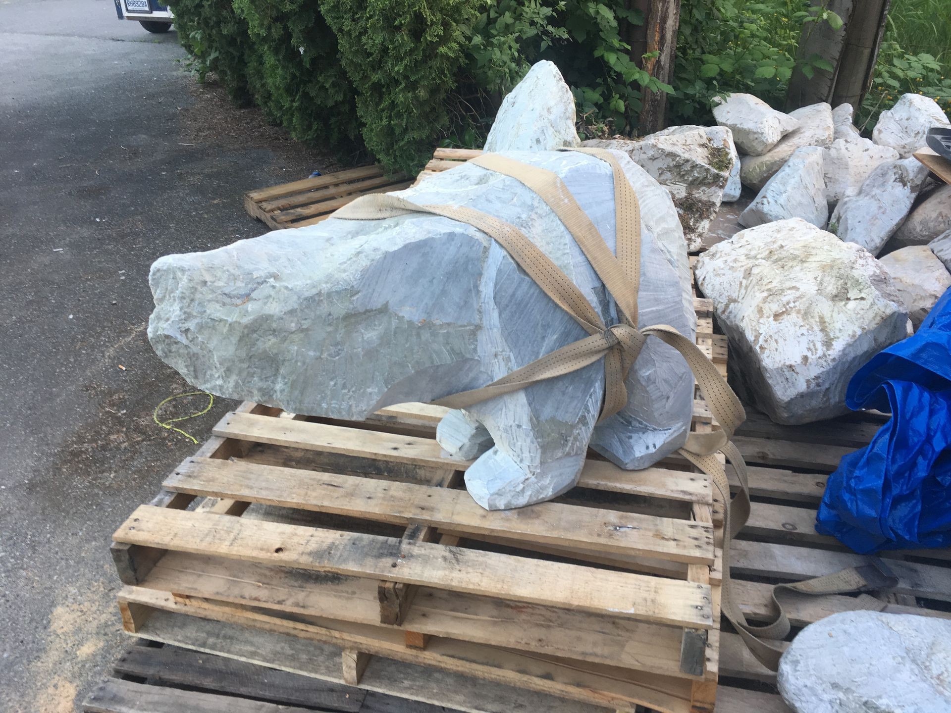 For the nature of things