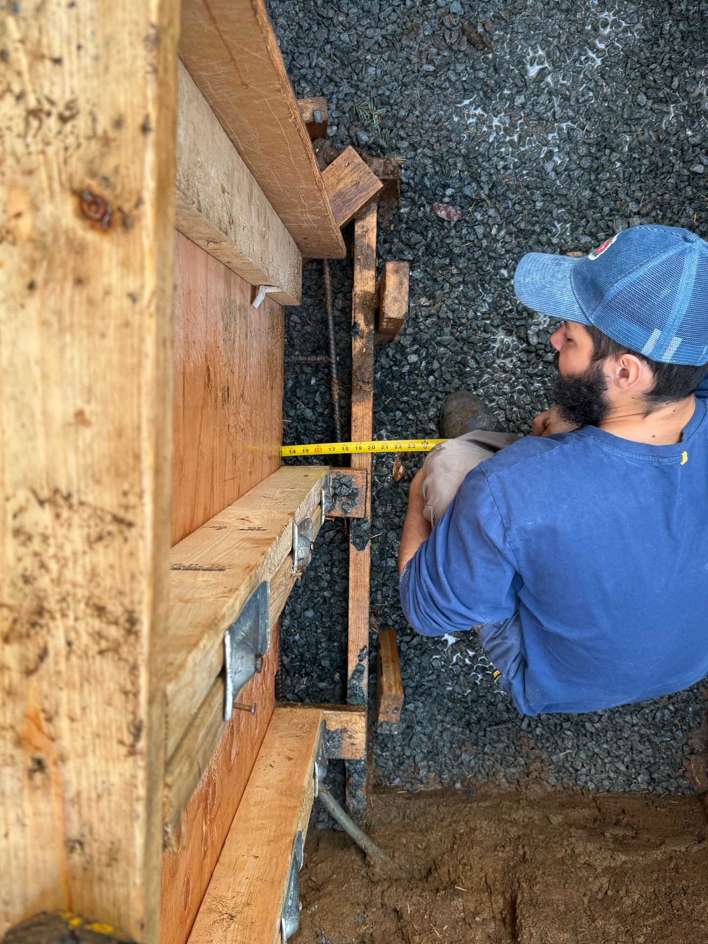 JOSEPH JR. CAMPANELLA